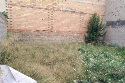 IMG-20200722-WA0012