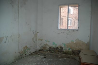 DSC_0003