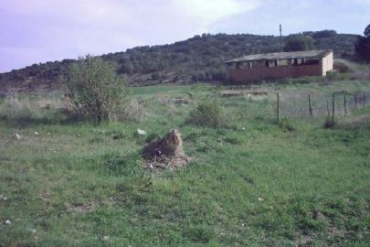 PAJAR