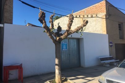 Foto 6-11-19 11 38 31