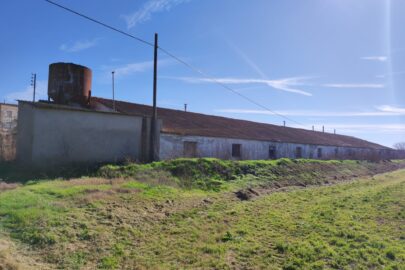 Imagen de WhatsApp 2024-11-18 a las 20.33.29_fbc7cabe
