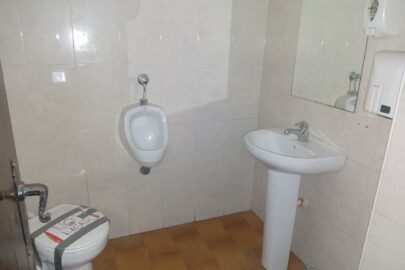 IMG_20241009_125432