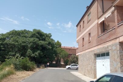IMG_20220725_134700