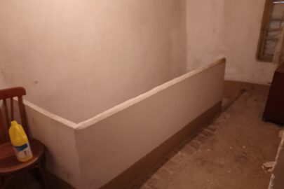 IMG_20221122_162602