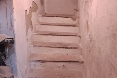 IMG_20241220_112308
