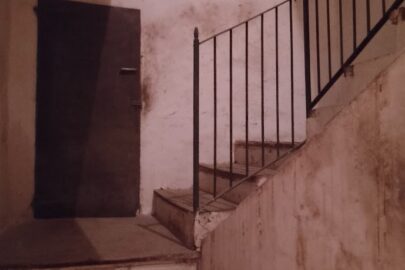 IMG_20241220_112317