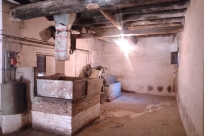 IMG_20241220_112655