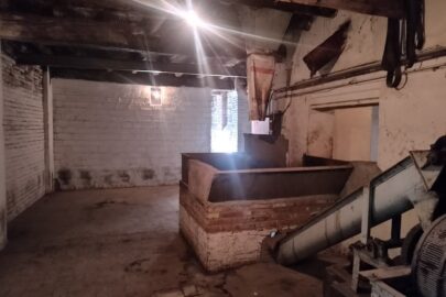 IMG_20241220_112728