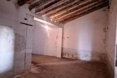 IMG_20241220_113043