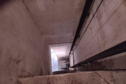 IMG_20241220_113305
