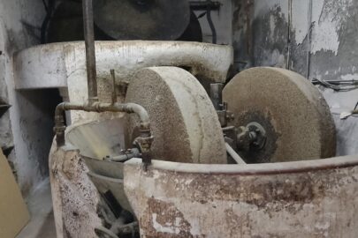 IMG_20241220_112229