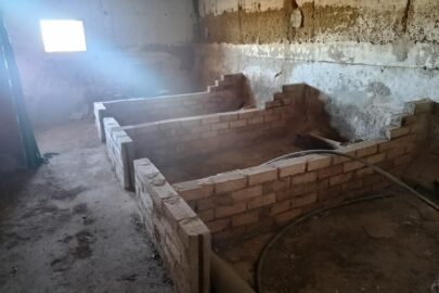 IMG_20231117_104835