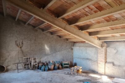 IMG_20231117_105018