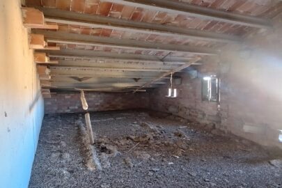 IMG_20231117_105029