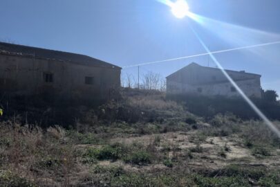 IMG_20231117_105534