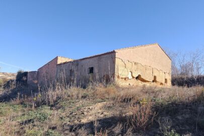 IMG_20231117_105614
