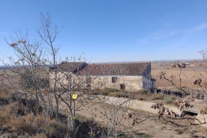 IMG_20231117_110121