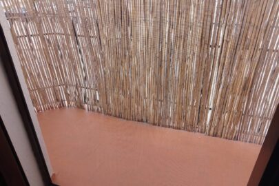 IMG_20230724_105454