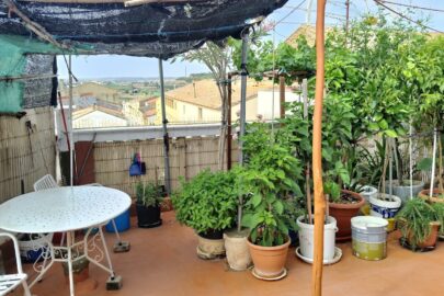 IMG_20230724_110144