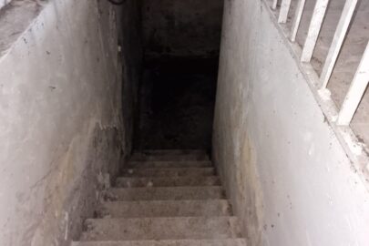 Imagen de WhatsApp 2023-10-09 a las 09.38.07_0e8b4254
