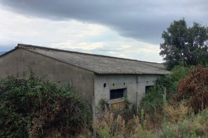 LA PARDINA