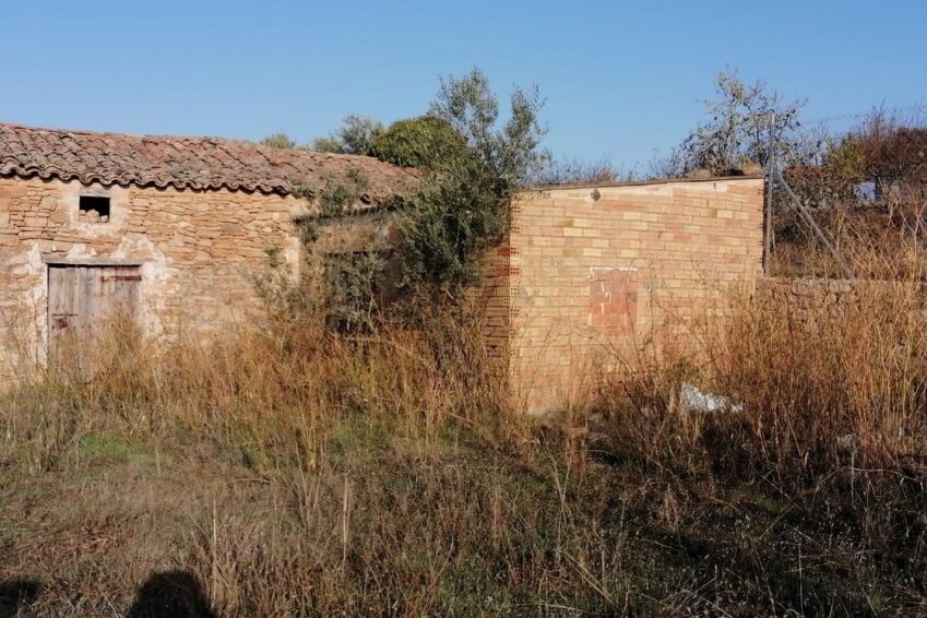 WhatsApp Image 2020-11-19 at 10.53.38 (4)