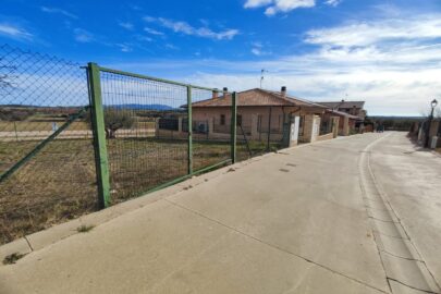 WhatsApp Image 2026-01-13 at 12.39.05