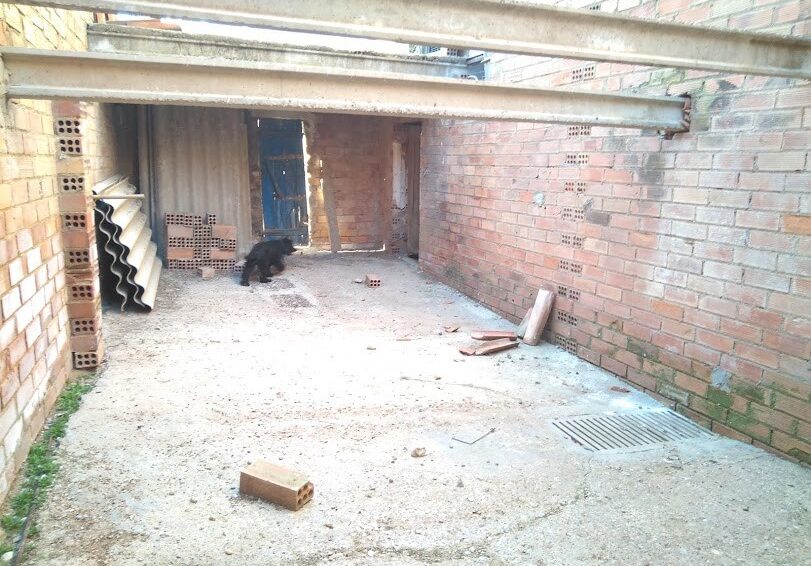 IMG_20190327_171622_898