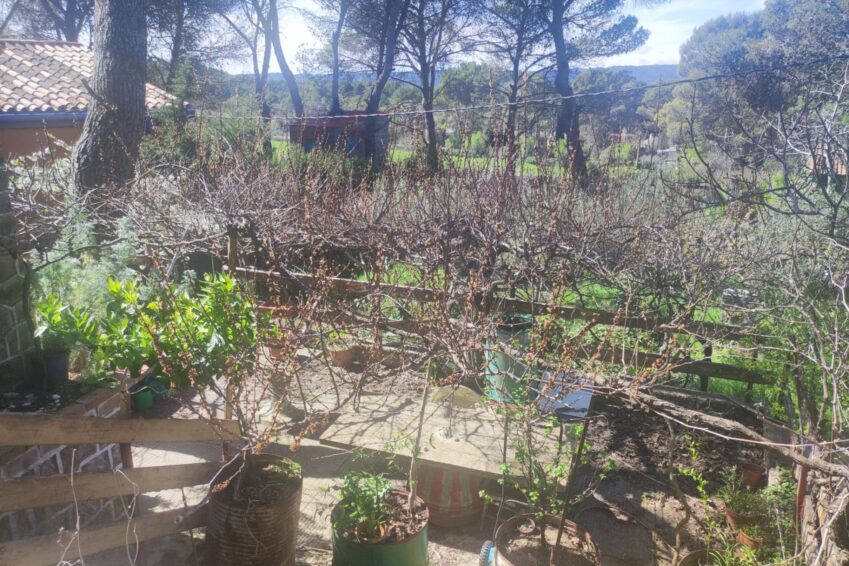ESPACIO JARDIN