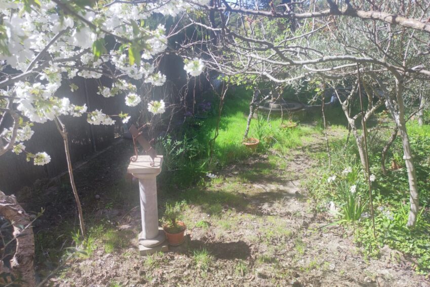 CAMINO JARDIN